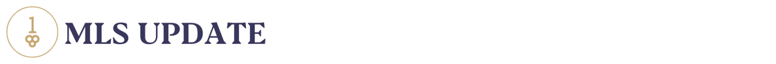 Newsletters One Line Headers_mlsupdate 2x